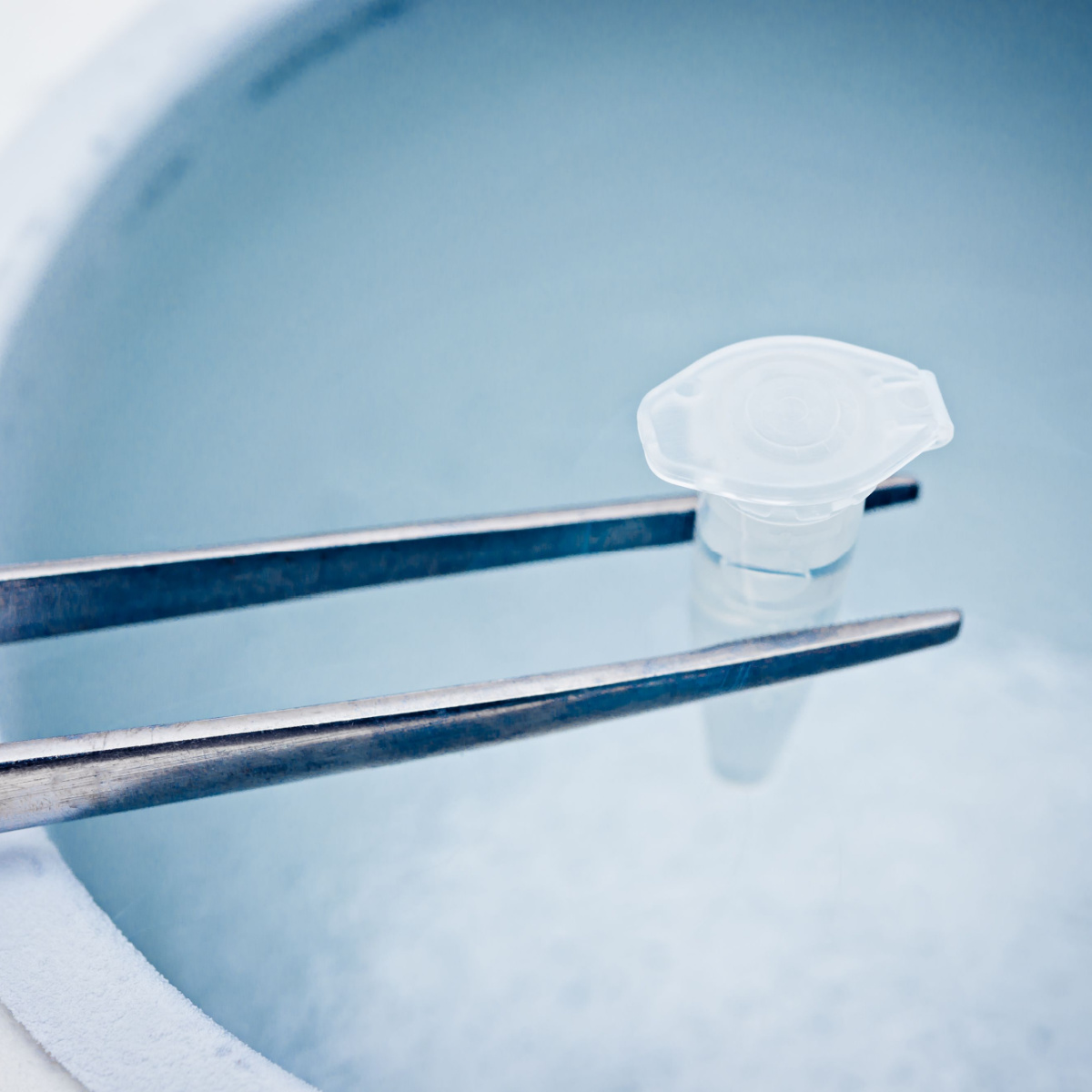 A test tube and liquid nitrogen for IVF
